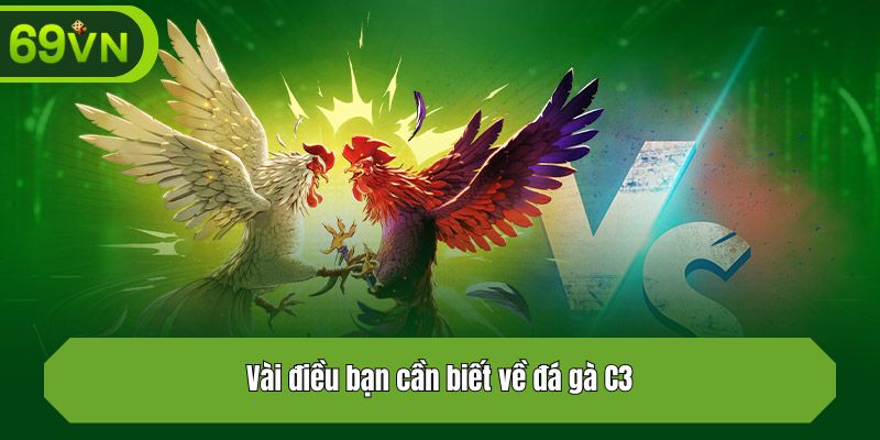 Vài điều bạn cần biết về đá gà C3
